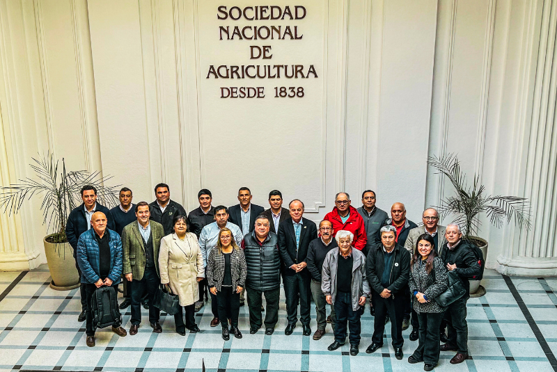 SNA se reúne con agricultura familiar campesina, mercados mayoristas y feriantes para promover la asociatividad