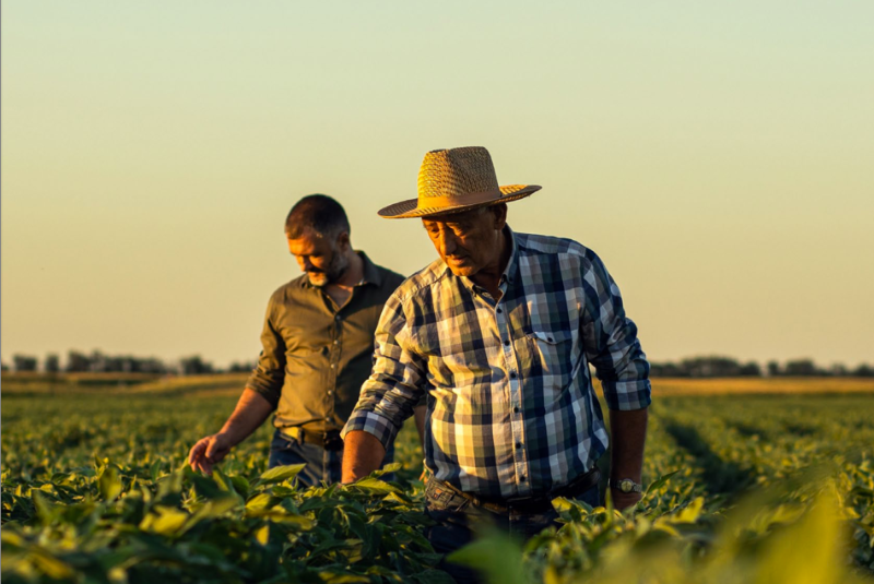 Encuentro Gremial SNA 2024: expertos y gremios trabajan en los seis “lomos de toro” del agro