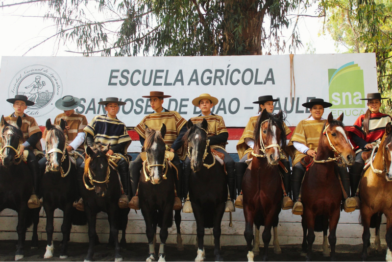 SNA Educa conmemora 50 años con la inauguración de su Campeonato Nacional de Rodeo