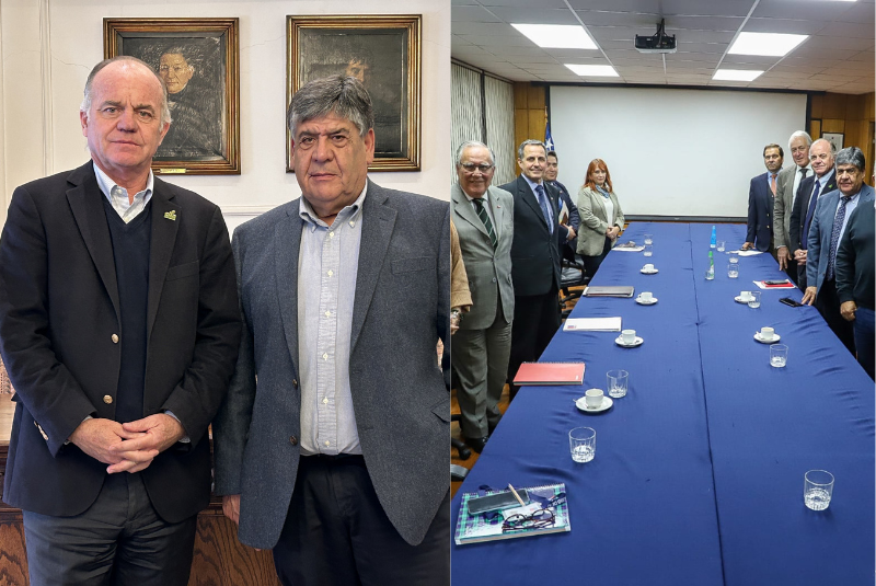 SNA y Fenare abordan crisis de la remolacha junto al Ministerio de Agricultura