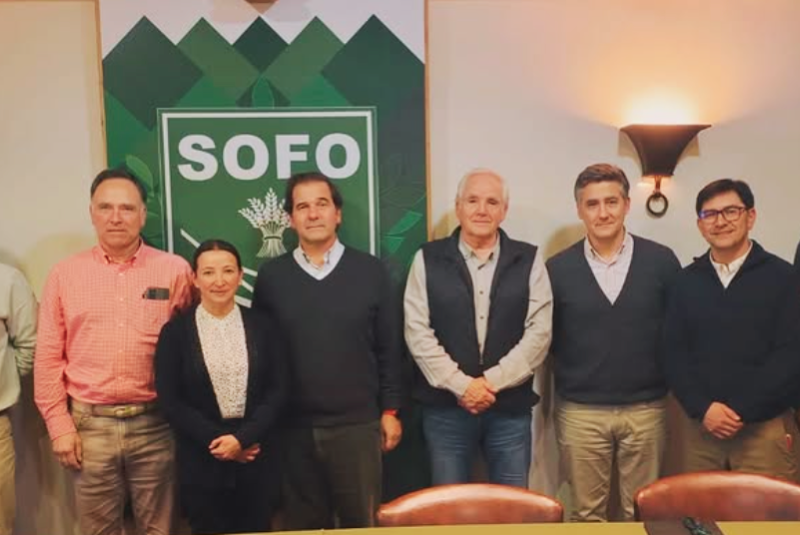 Avanzan los trabajos para fortalecer el Registro del Caballo Chileno